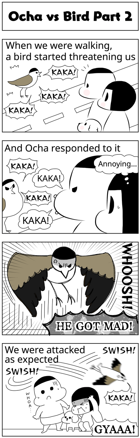 manga blog ocha vs bird part 2_en