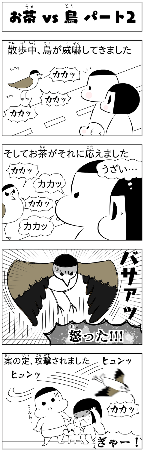 manga blog ocha vs bird part 2_jp