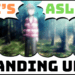 Anzu Quote Hinamatsuri She is Asleep Standing Up
